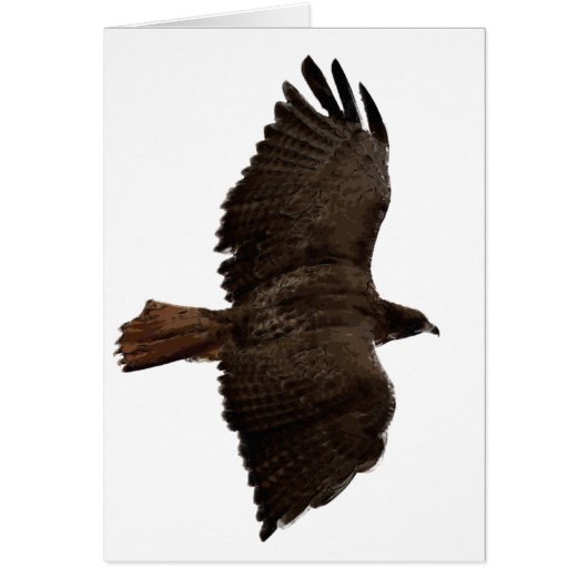 Red-tail sketch cards (Front)