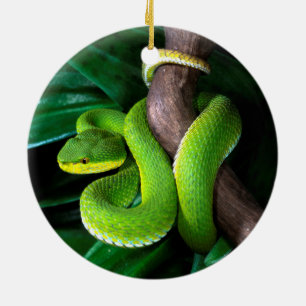 Red-tailed bamboo pitviper ceramic ornament
