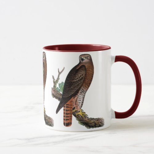 Red_tailed Black Hawk Mug