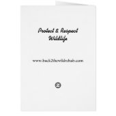 Red Tailed Hawk (Back)