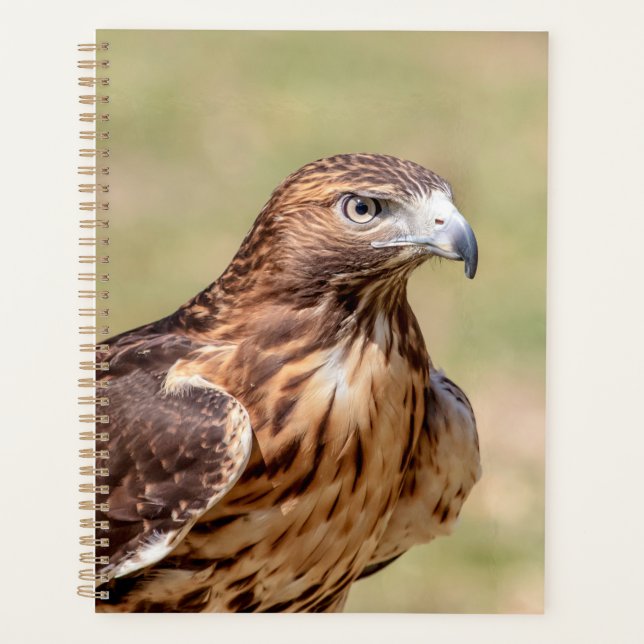 Red-Tailed Hawk 2026 Planner | Hudson Valley (Front)