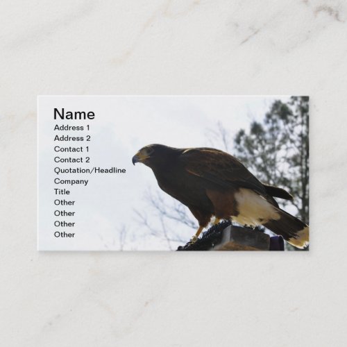 Red Tailed Hawk Against a Blue Sky Business Sky Business Card Template