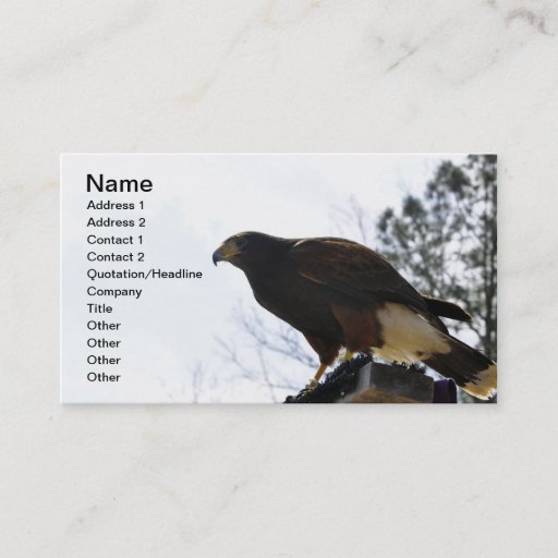 Customizable Red Tailed Hawk Against a Blue Sky Business Sky Business Card Template