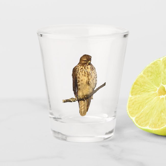 Red Tailed Hawk Animal Shot Glass