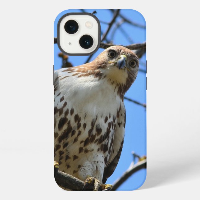 Red-tailed hawk, Apple iPhone 13 case (Back)