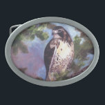 Red Tailed Hawk Belt Buckle<br><div class="desc">From an original oil painting by Brenda Thour of a Red Tailed Hawk perched on a tree branch. Created from a drawing I did when the Raptor Center came to the school I work at. Copyright by Brenda Thour 2005.</div>