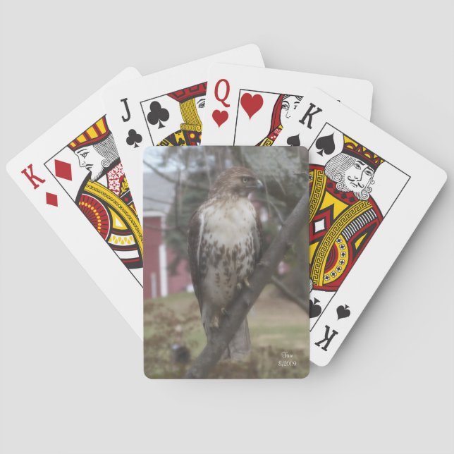Red-tailed Hawk Bicycle Playing Cards (Back)