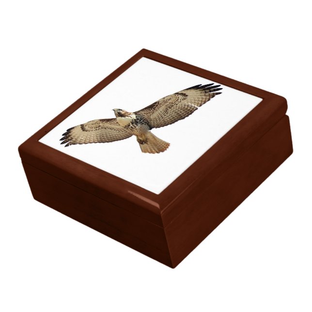 Red Tailed Hawk Bird Raptor Wildlife Animals Gift Box (Side)