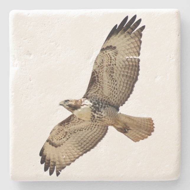 Red Tailed Hawk Bird Wildlife Animal Stone Coaster (Front)