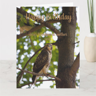 Red tailed Hawk Birthday card