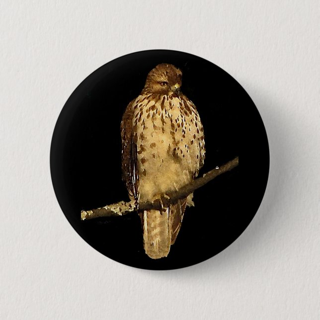 Red Tailed Hawk Button (Front)