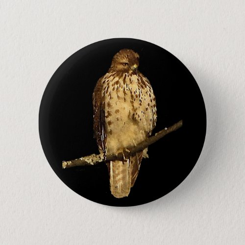 Red Tailed Hawk Button