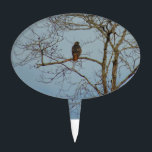Red Tailed Hawk Cake Topper<br><div class="desc">These items feature an original photograph of a red-tailed hawk in a bare tree.</div>