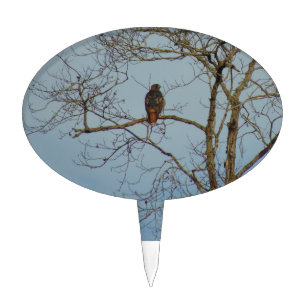 Red Tailed Hawk Cake Topper