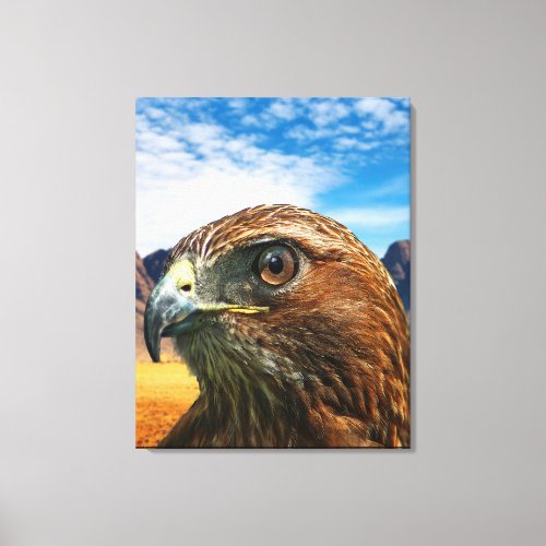 Red tailed hawk canvas print