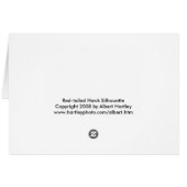 Red-tailed Hawk Cards (Back Horizontal)