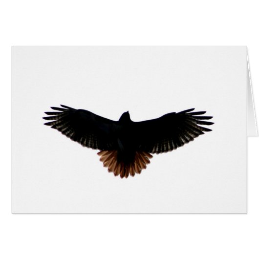 Red-tailed Hawk Cards (Front Horizontal)