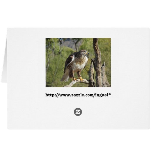 Red Tailed Hawk Cards (Back Horizontal)