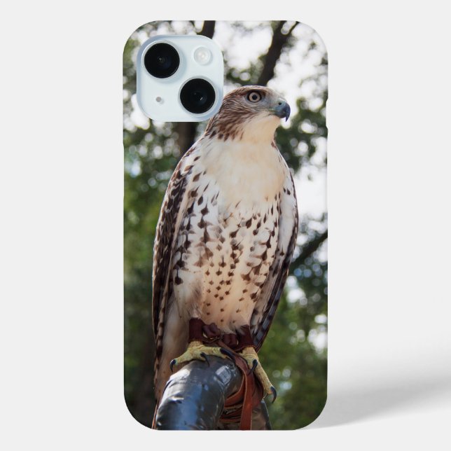 Red-Tailed Hawk Case-Mate iPhone Case (Back)