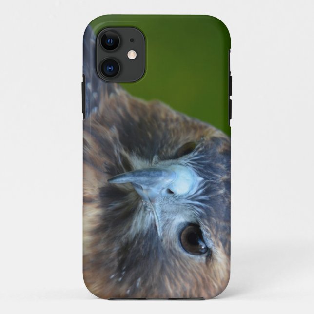 Red-tailed Hawk Case-Mate iPhone Case (Back)