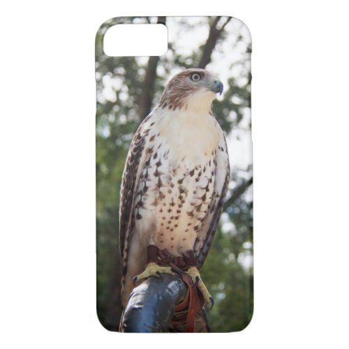 Red_Tailed Hawk iPhone 87 Case