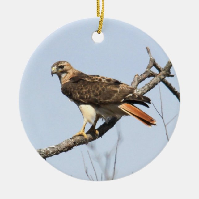 Red-tailed Hawk Ceramic Ornament (Front)