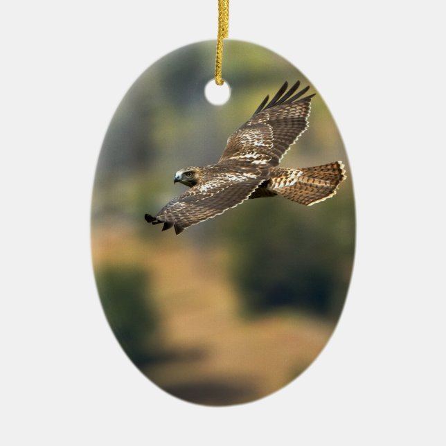 Red-tailed Hawk Ceramic Ornament (Front)