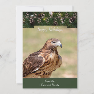 Red-Tailed Hawk Christmas Card