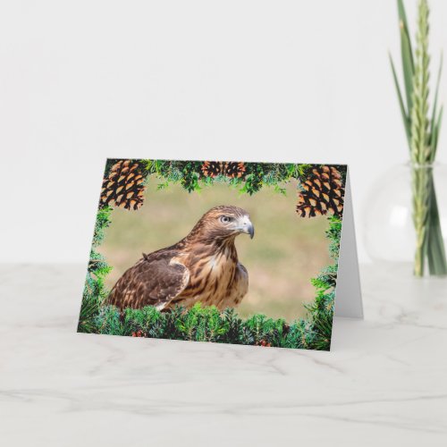 Red_Tailed Hawk Christmas Card