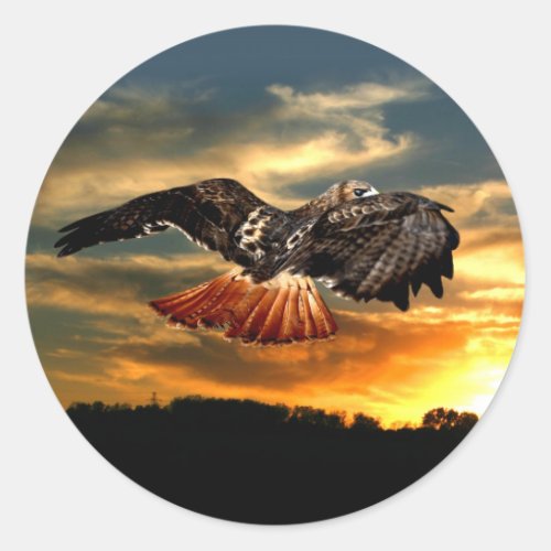 Red tailed hawk classic round sticker