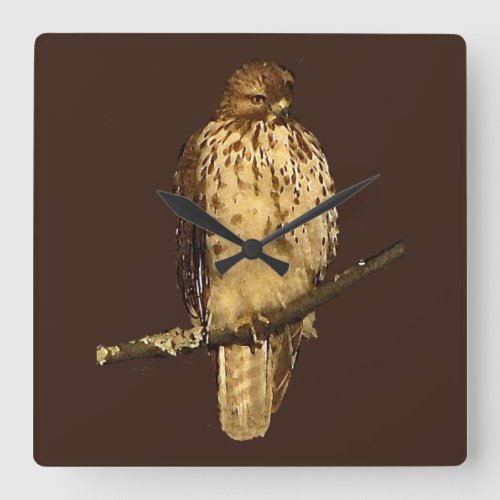 Red_Tailed Hawk Clock