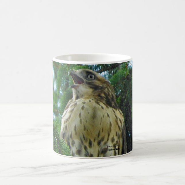 Red-Tailed Hawk Coffee Mug (Center)
