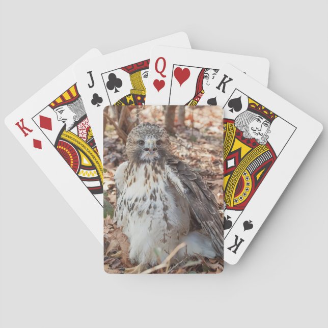 Red Tailed Hawk Doubled Poker Cards (Back)