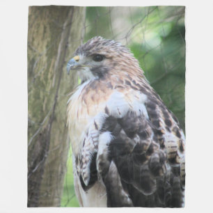 Red tailed hawk fleece blanket