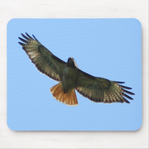 RED TAILED HAWK FLYING MOUSE PAD