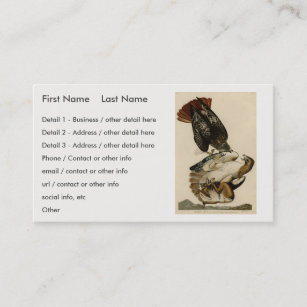 Red-tailed Hawk from Audubon's Birds of America Business Card
