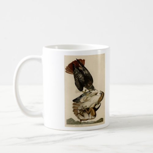 Red_tailed Hawk from Audubons Birds of America Coffee Mug