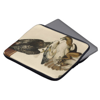 Red-tailed Hawk from Audubon's Birds of America Laptop Sleeve