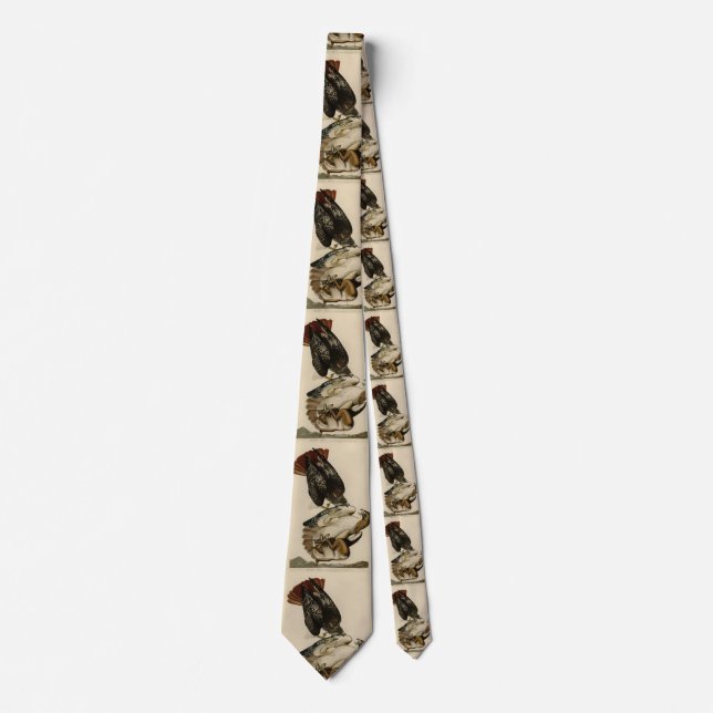 Red-tailed Hawk from Audubon's Birds of America Neck Tie (Front)
