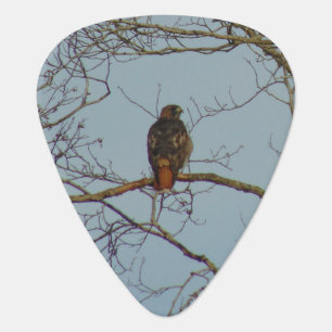 Red Tailed Hawk Guitar Pick