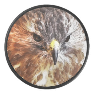 RED TAILED HAWK HOCKEY PUCK