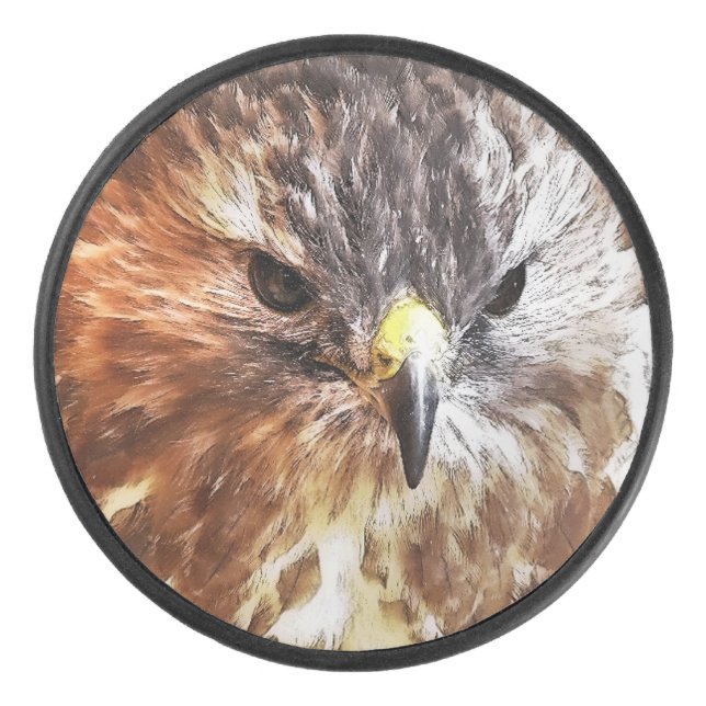 RED TAILED HAWK   HOCKEY PUCK (Front)