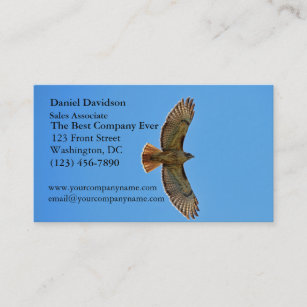 Red-Tailed Hawk in Flight Business Card