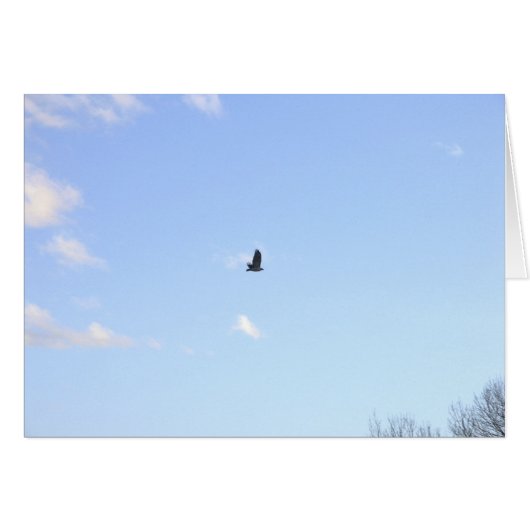 Red Tailed Hawk In Flight Card (Front Horizontal)