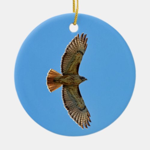 Red_Tailed Hawk in Flight Ceramic Ornament