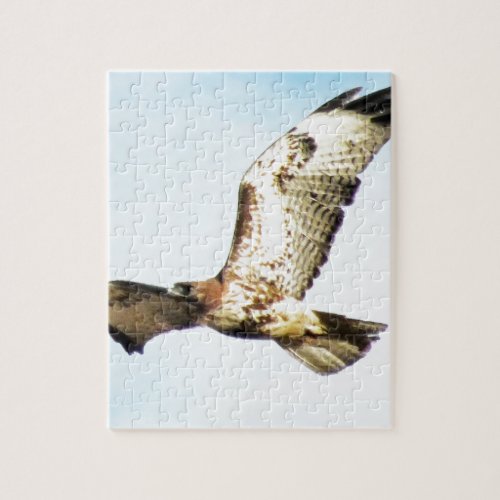 Red_tailed Hawk in Flight Photo Jigsaw Puzzle
