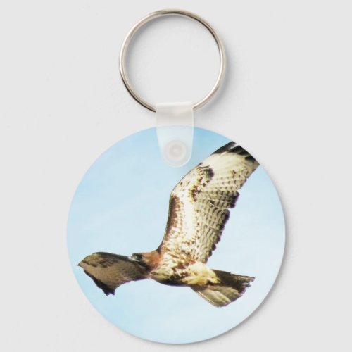 Red_tailed Hawk in Flight Photo Keychain