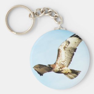 Birds Of Prey Rings Zazzle