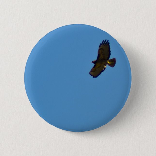 Red Tailed Hawk in Flight Pinback Button (Front)