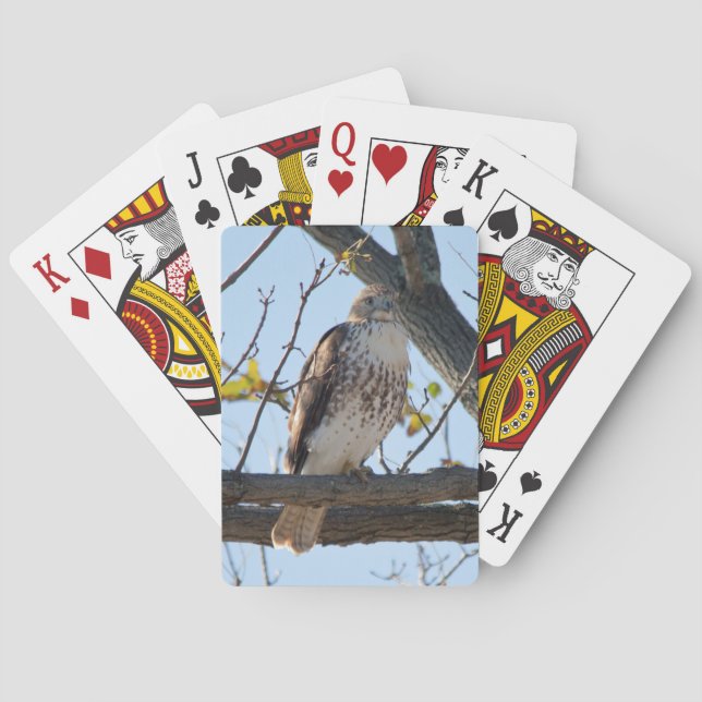 Red Tailed Hawk in flight Poker Cards (Back)
